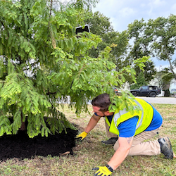 person kneeling at the base of a tree