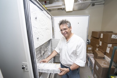person using a ULT freezer