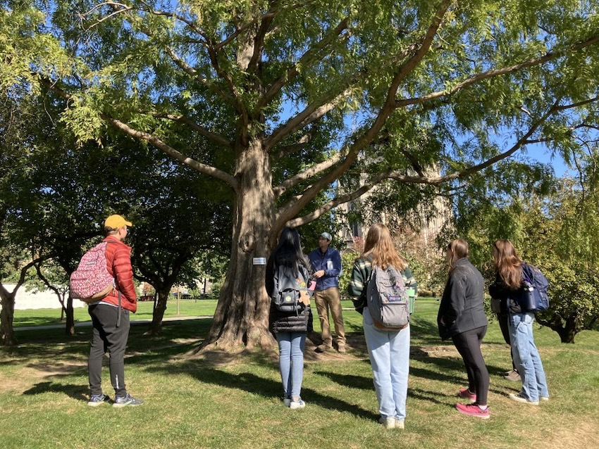 people surrounding a tree