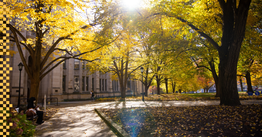 Fall foliage on campus