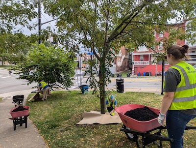 people planting trees