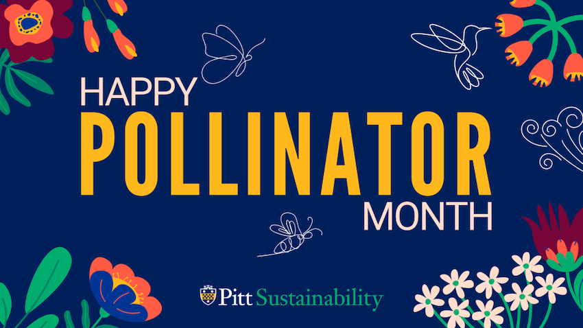 Happy Pollinator Month poster