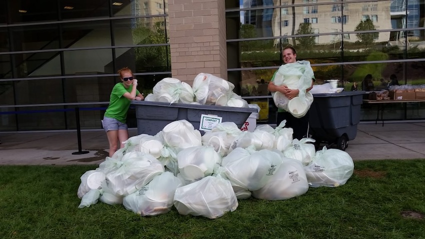 students collecting waste