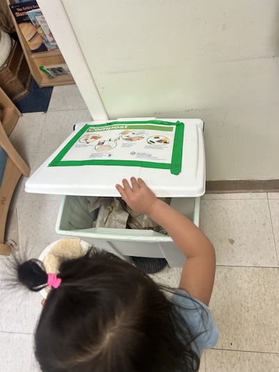 compost bin
