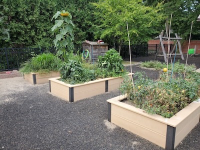 UCDC garden