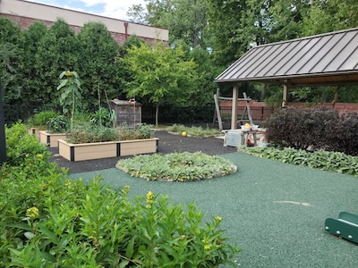 UCDC garden
