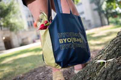 reusable bag