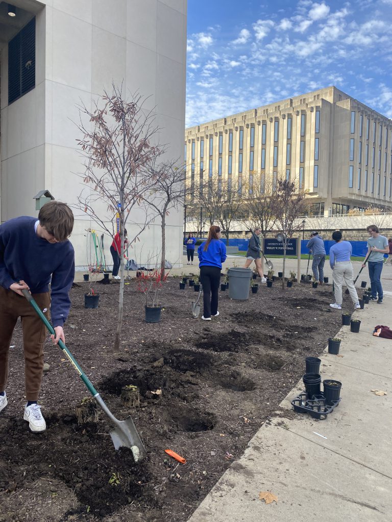 Students planting pollinator garden