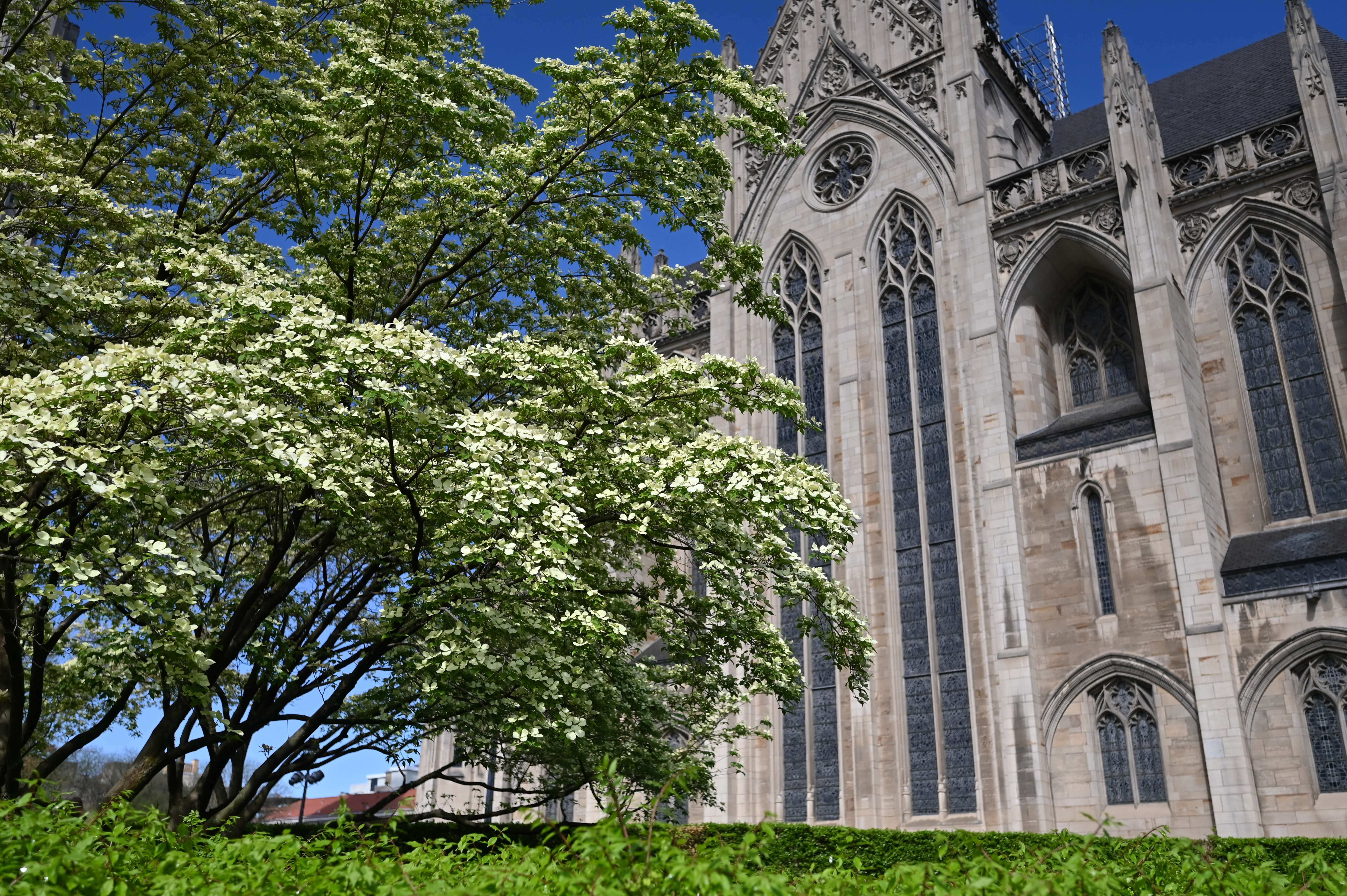 Exterior of Heinz Chapel