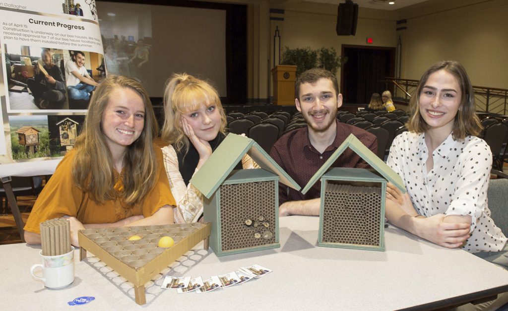 Pitt students display solitary bee homes