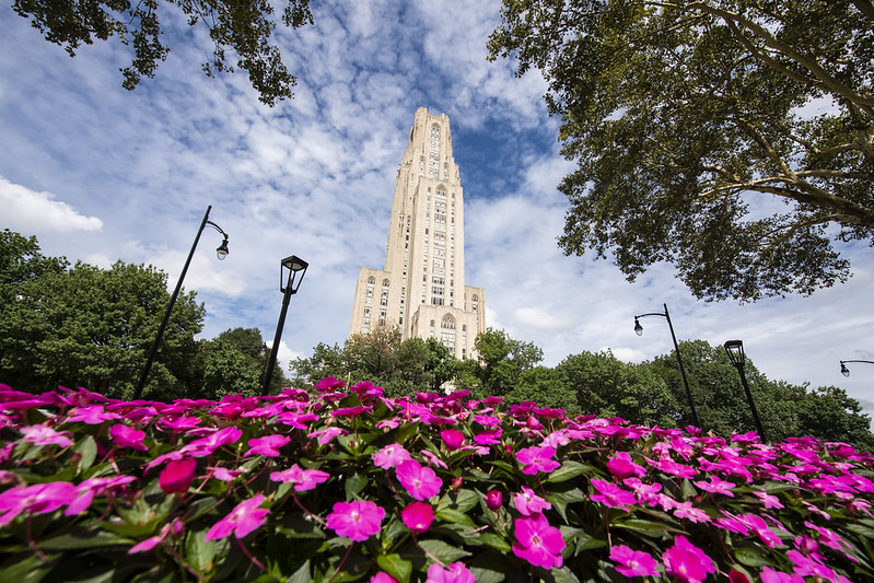 Cathedral of Learning with pink flowers
