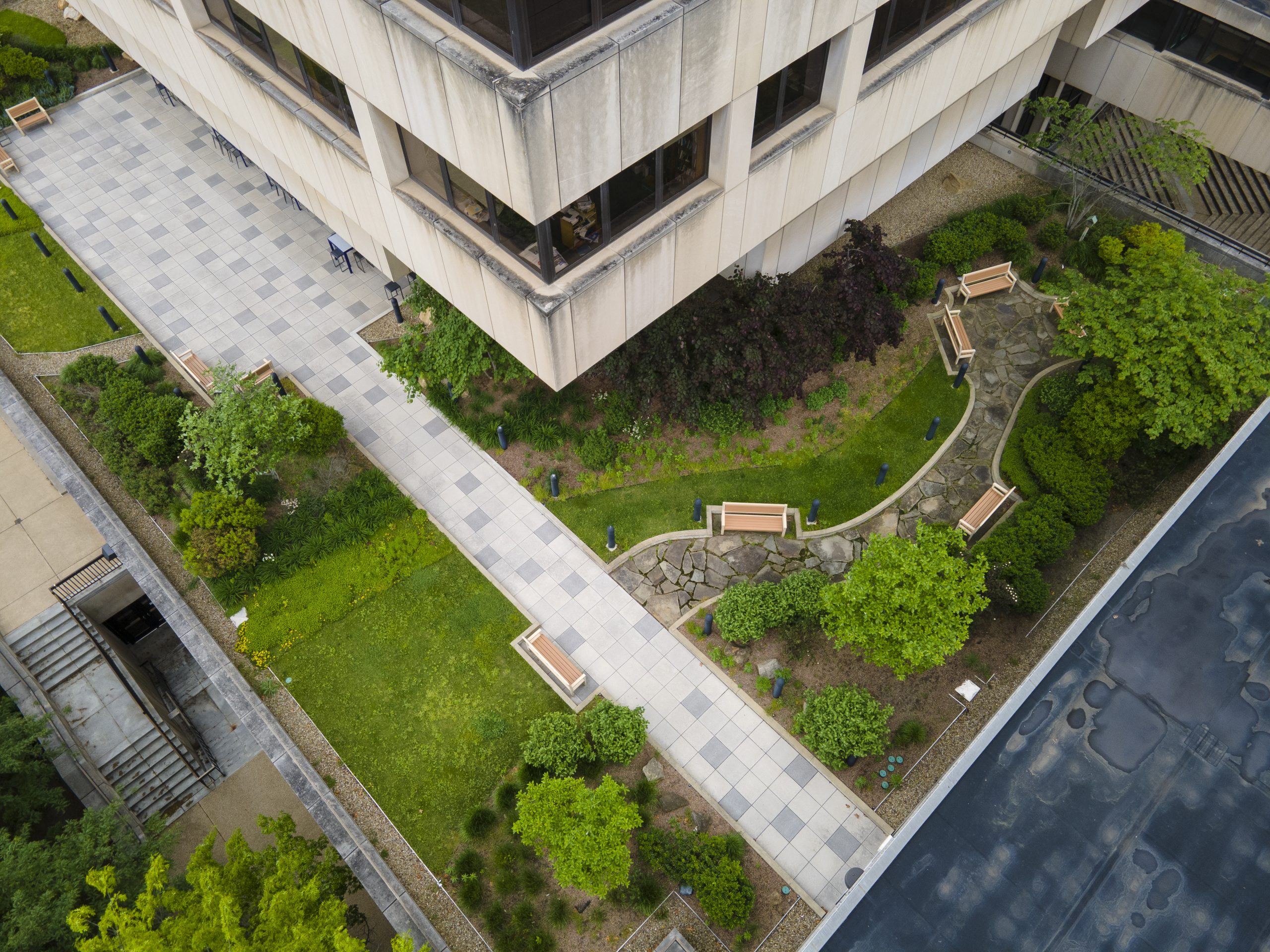 Barco Law Green Roof