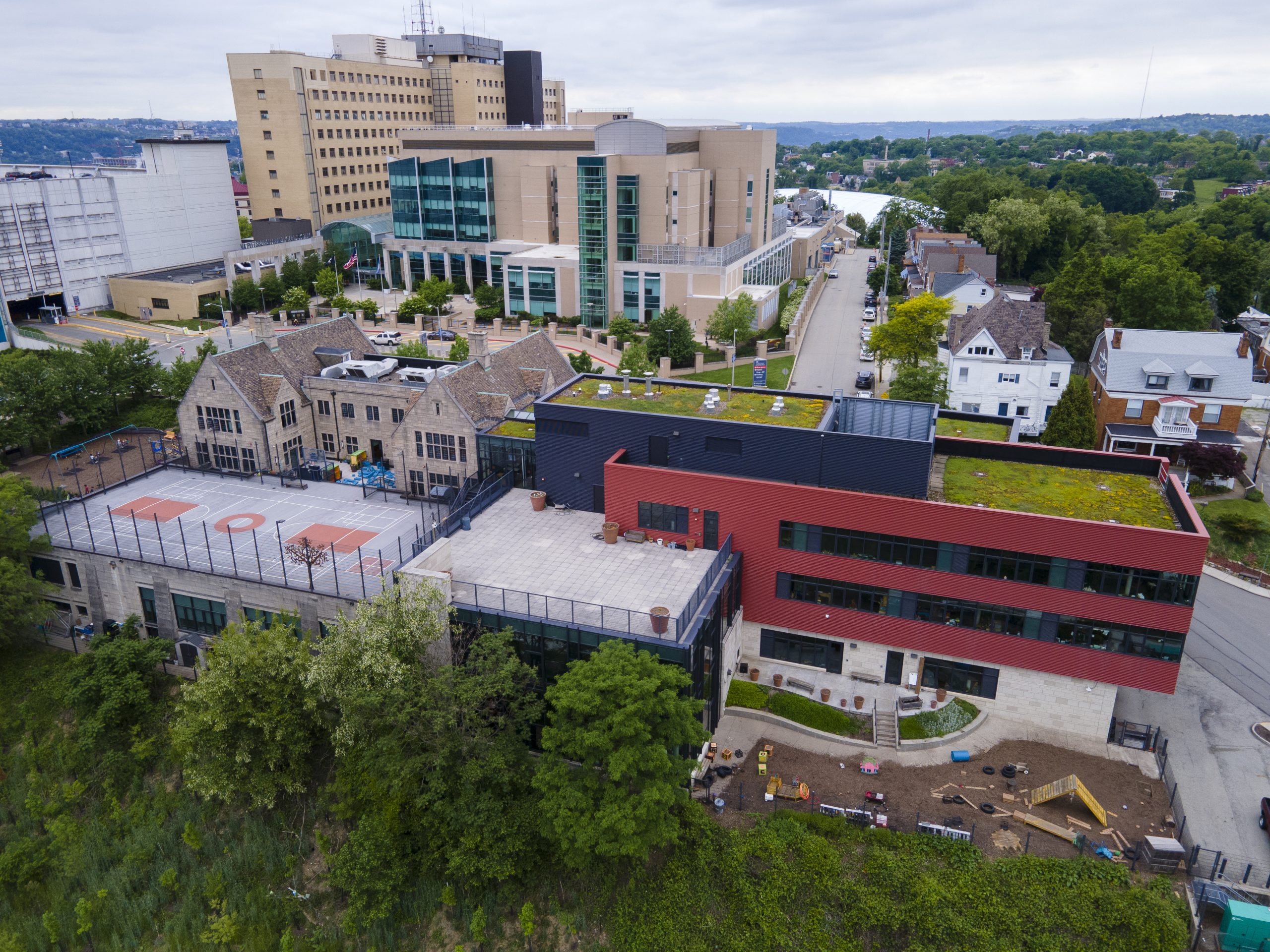 Falk School Green Roof