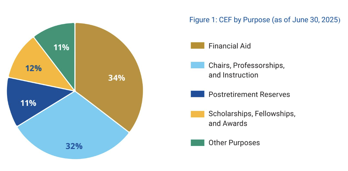 Consolidated Endowment Fund by Purpose