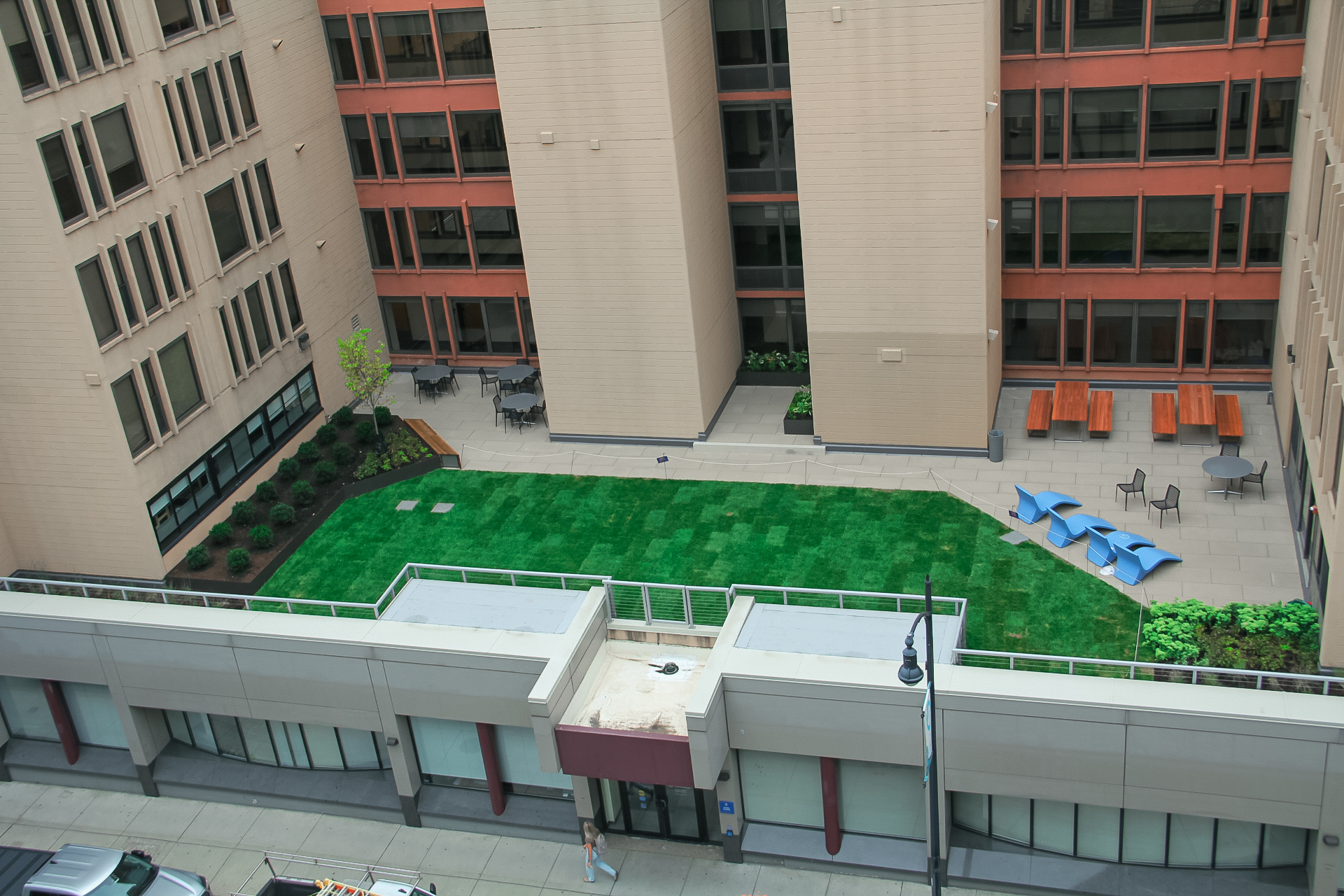 Forbes Hall Green Roof