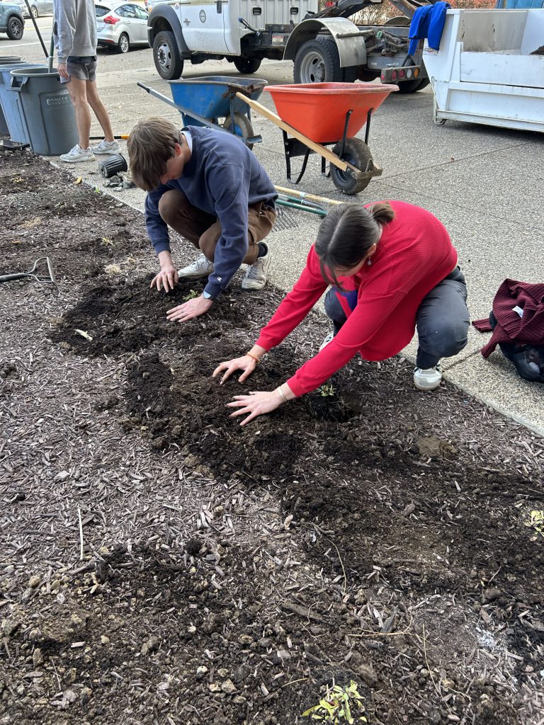 Students planting pollinator garden