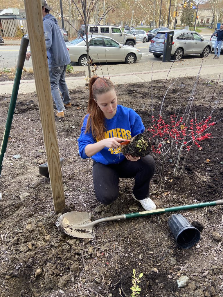 Students planting pollinator garden