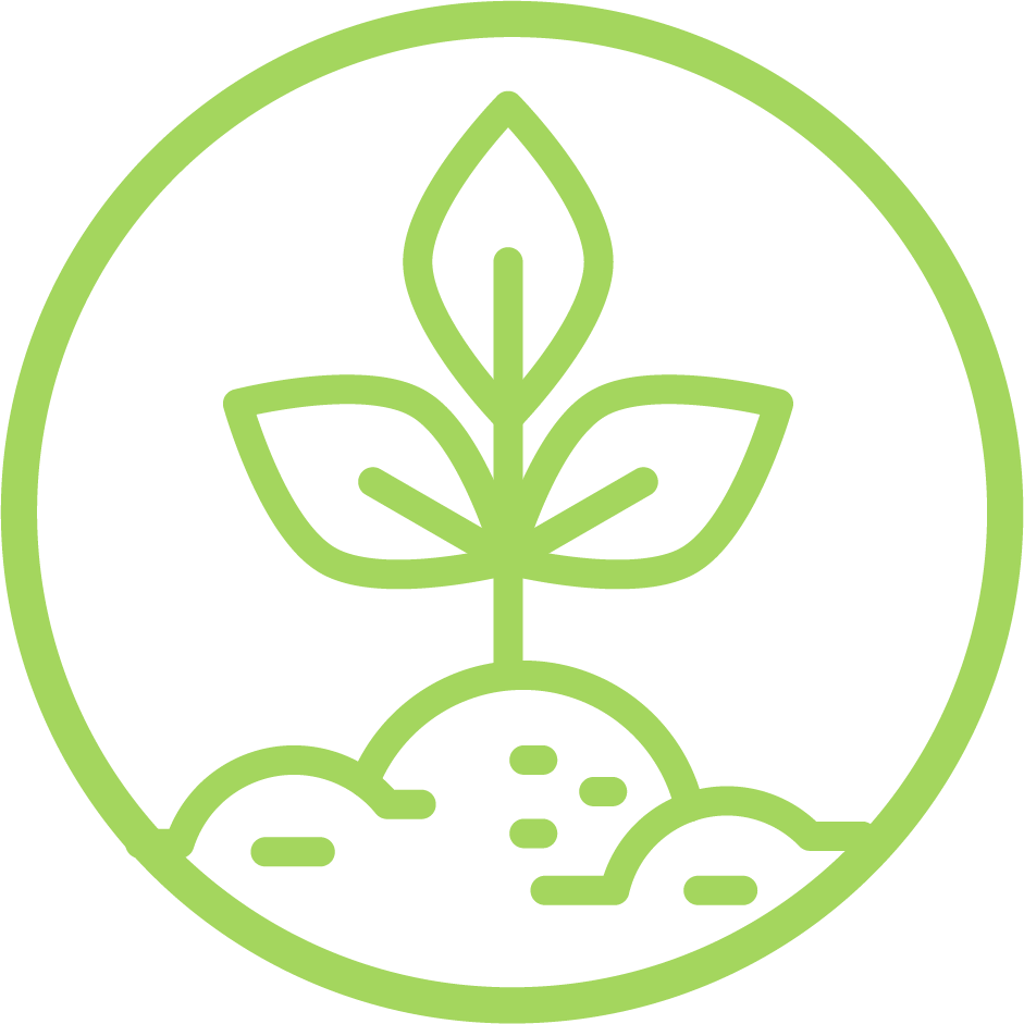 ecology and landscape icon