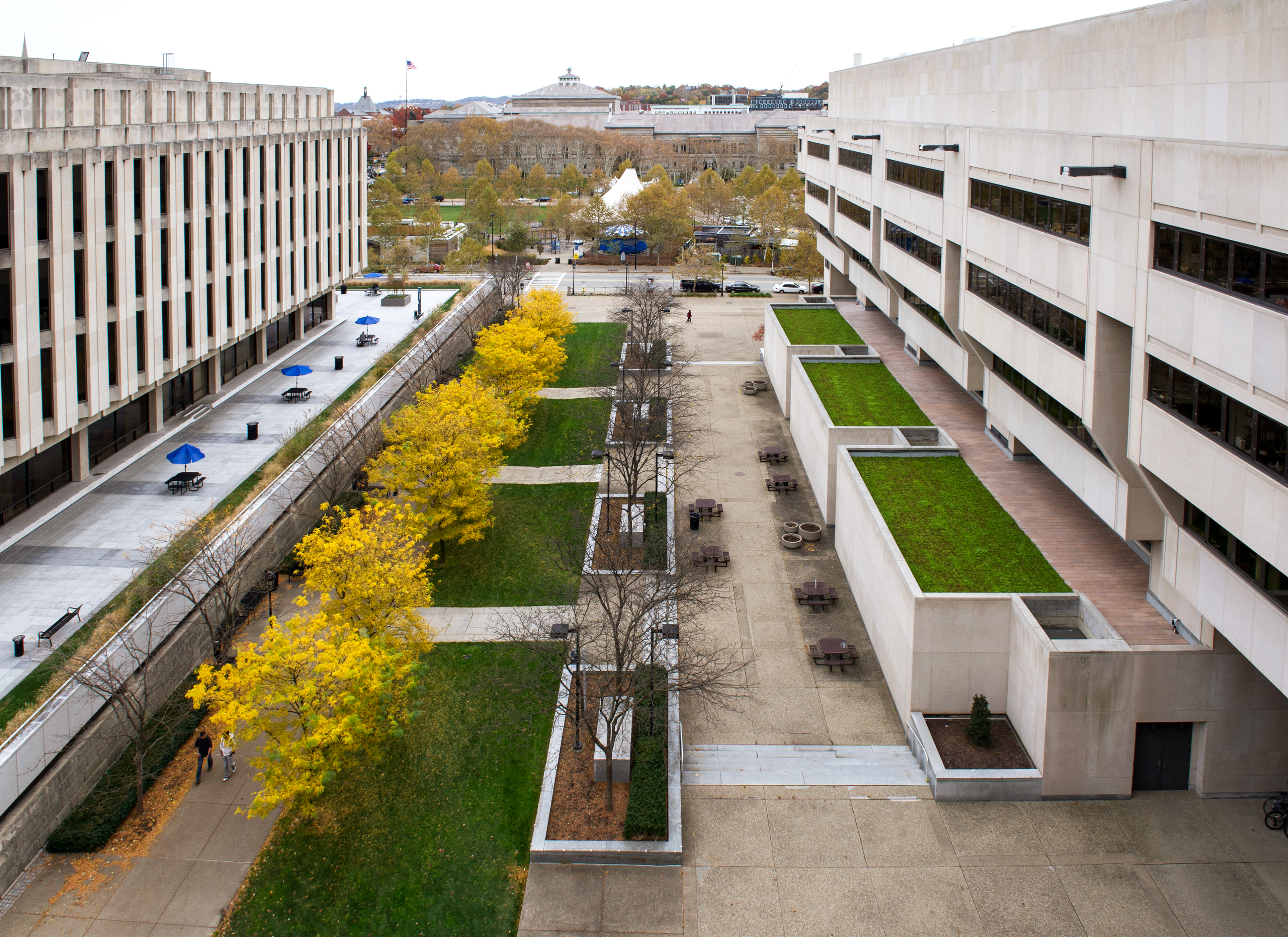 Posvar Hall Green Roof