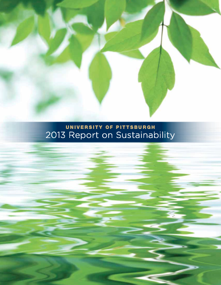 Cover of 2013 Report on Sustainability