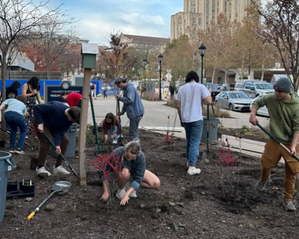 students working in a garden with the Cathedral of Learning in the background
