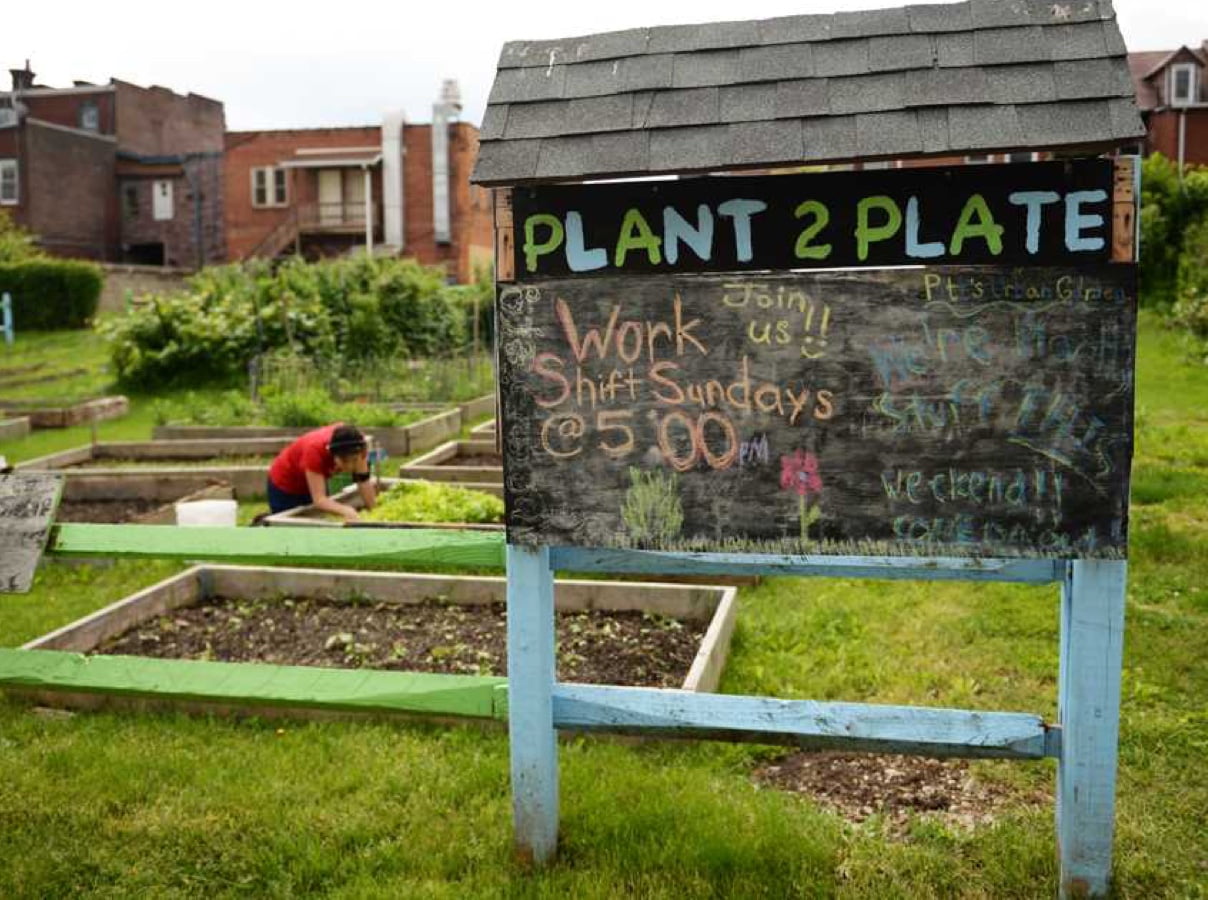 Plant2Plate Edible Garden