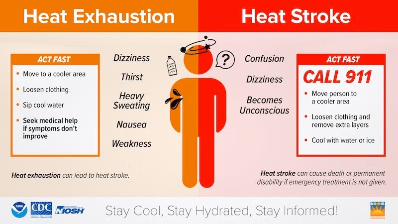 Infographic depicting the difference between heat exhaustion and heat stroken