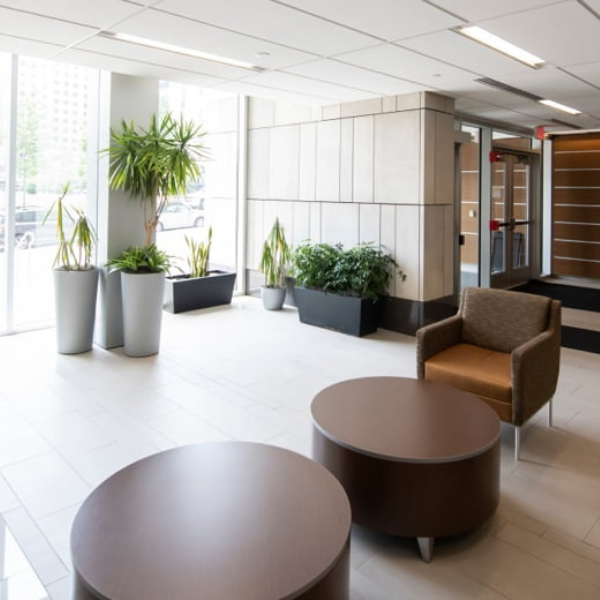 Office lobby with seating, table, and plants