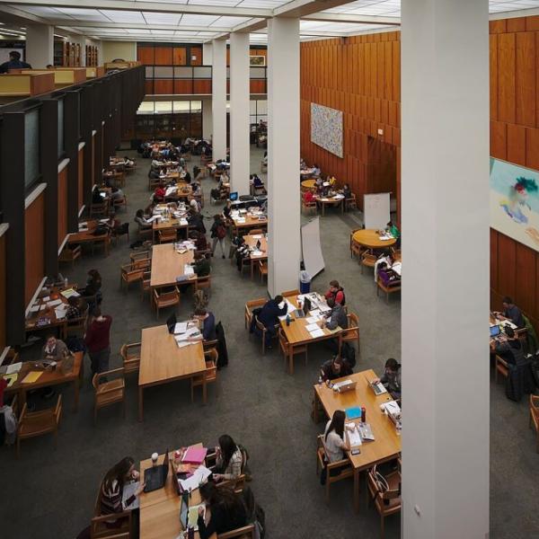 Students studying at tables in Hillman Library