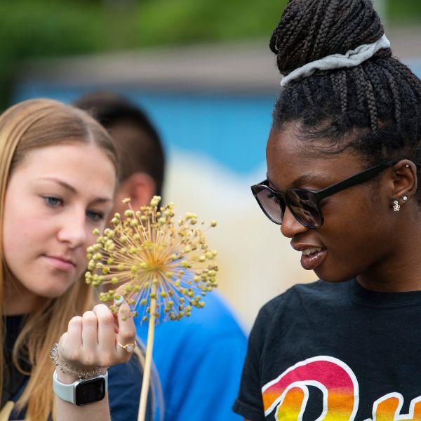 Two students look at a flower on campus