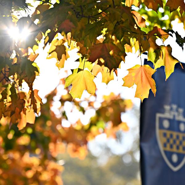 Autumn leaves with a Pitt shield banner.