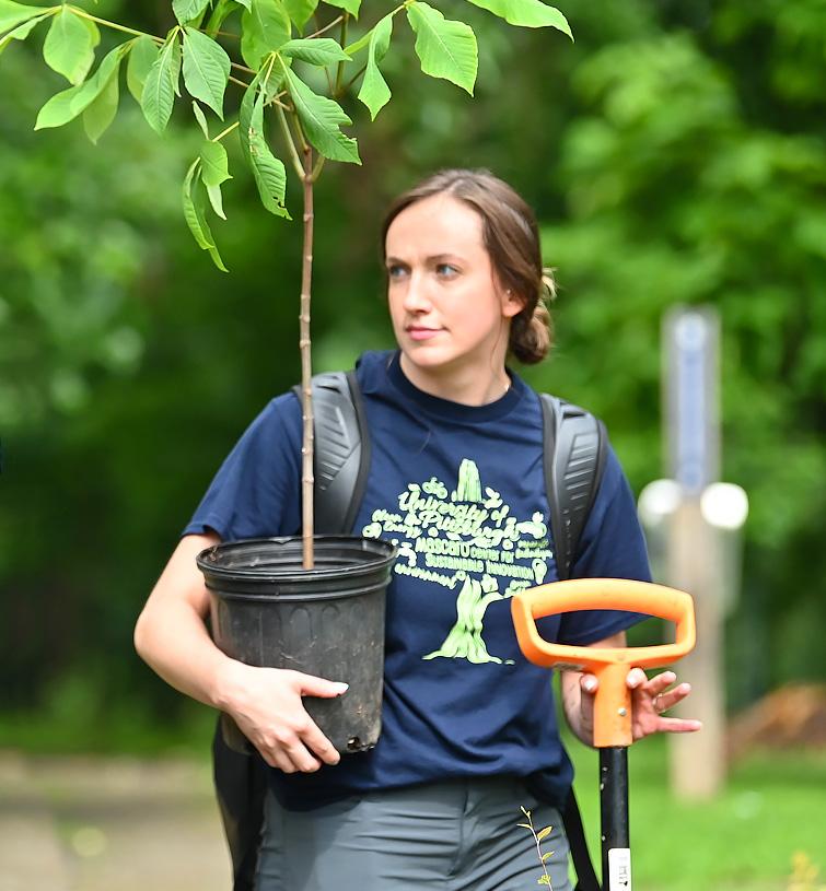 A volunteer carries a tree sapling and shovel for planting.