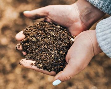 Hands hold soil