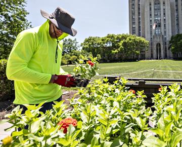 A groundskeeper tends to campus plants.