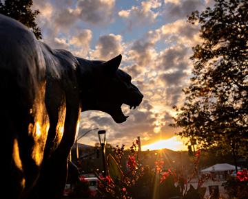 The Pitt panther statue with a sunrise. 