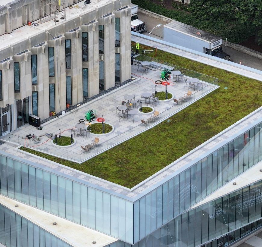 Green roof on Hillman Library