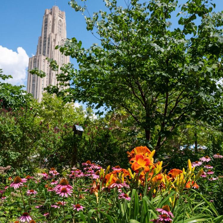 The Cathedral of Learning behind flowers and trees