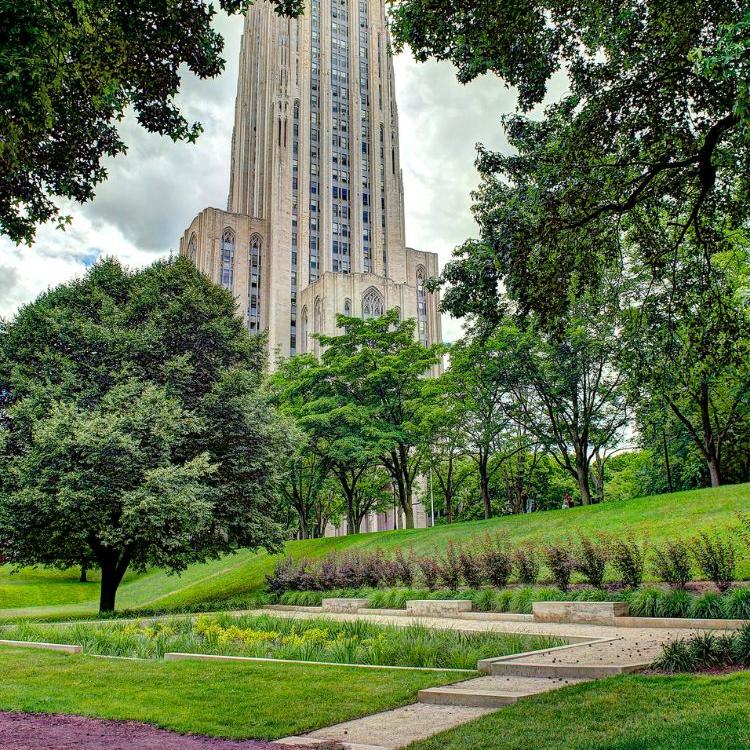 Rain garden in front of the Cathedral of Learning