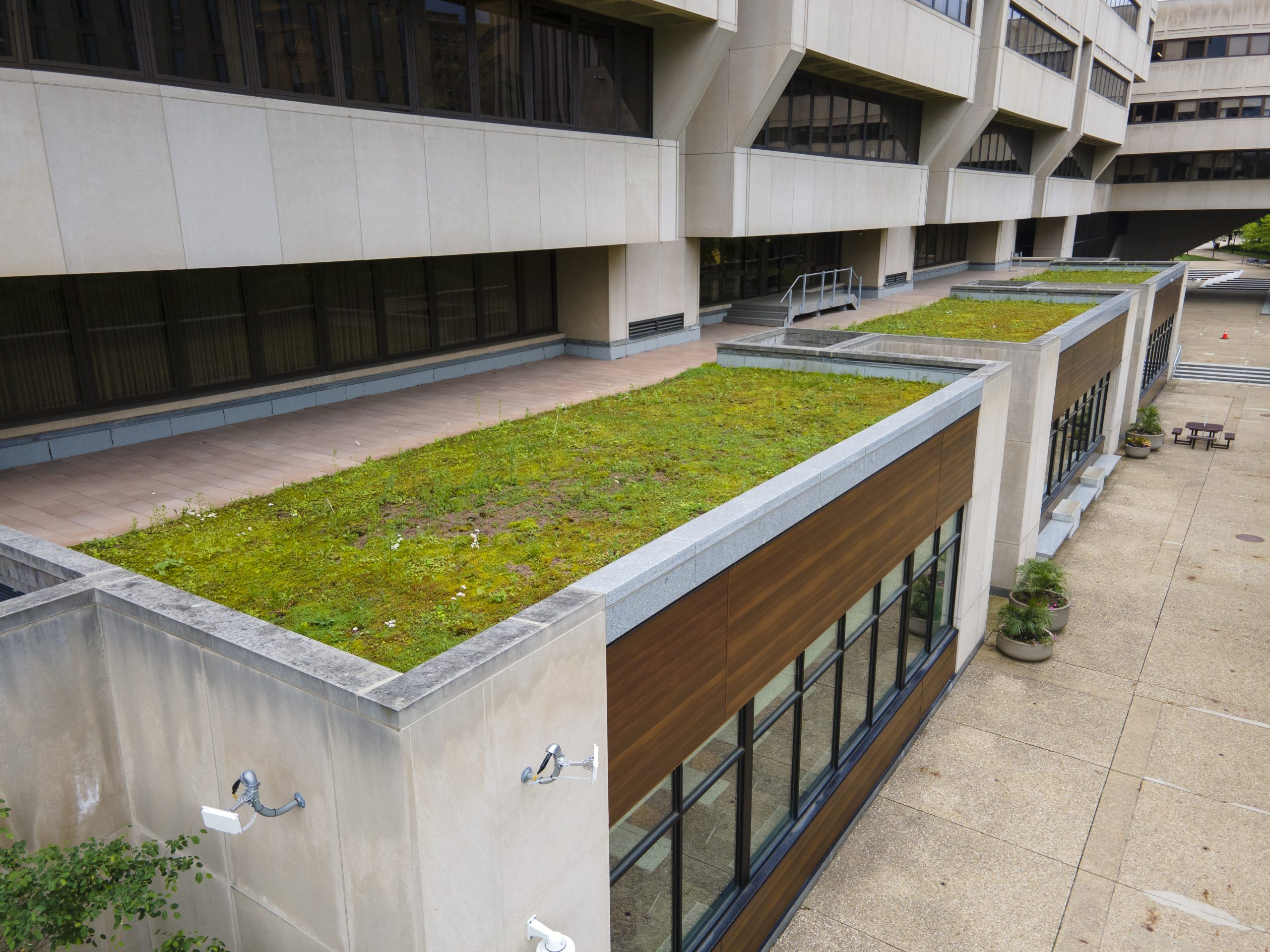Posvar green roofs