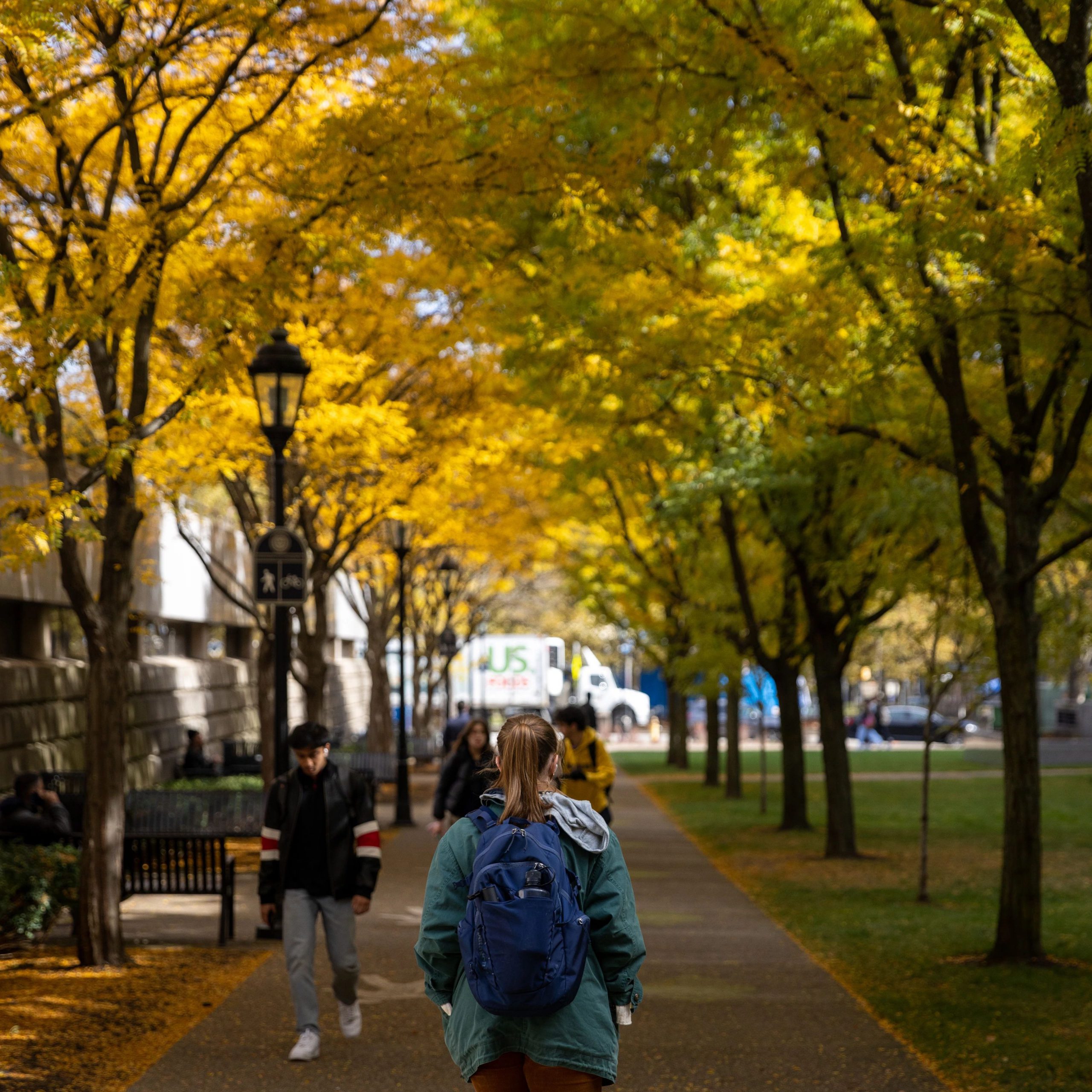 student walking under trees